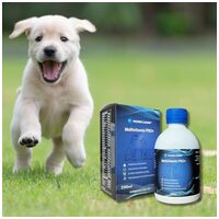 Nordcanin Multivitamin Pro+ #6