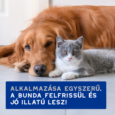 Douxo Spa nedves törlőkendő kutyáknak és macskáknak