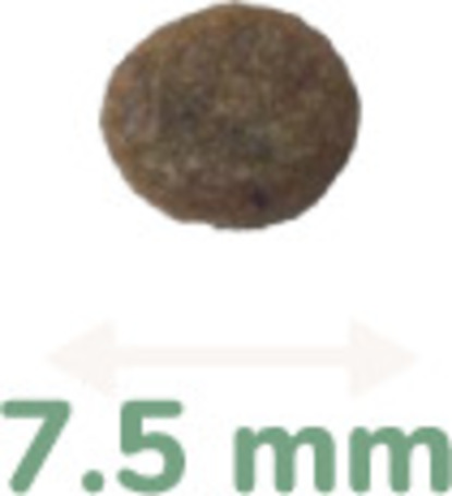 Pro-Nutrition Pure Life Cat Kitten | Hipoallergén táp kölyökcicáknak