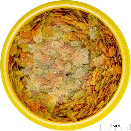 JBL ProNovo Betta Flakes S lemezes táp bettáknak