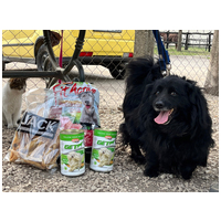 Luke, 6 éves, 40 cm magas, kan #9