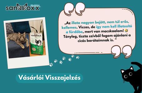 Sandboxx ultra prémium csomósodó macskaalom