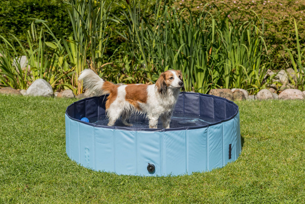 Trixie piscina pentru caini - zoom