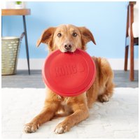 Kong Classic Flyer frizbi #4