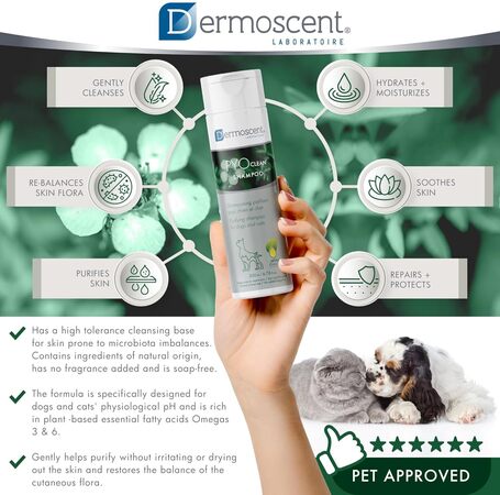 Dermoscent PYOclean Shampoo kutyáknak és macskáknak