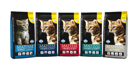 Ismerd meg a Matisse macskaeledeleket