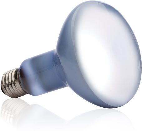 Exo Terra Daylight Basking Spot neodímium nappali fényű napozó lámpa