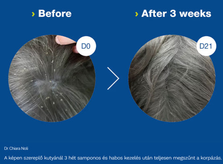 Douxo S3 Seb sampon kutyáknak és macskáknak