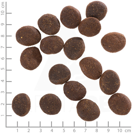 Wolfsblut Polar Night Adult rénszarvas sütőtökkel