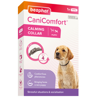 Beaphar CaniComfort feromonos nyugtató nyakörv kölyökkutyáknak #2