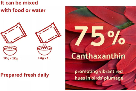 Beaphar Intensief Red