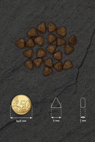 Visán Optimanova Dog Adult Mini Salmon & Potato gabonamentes táp kistestű kutyáknak