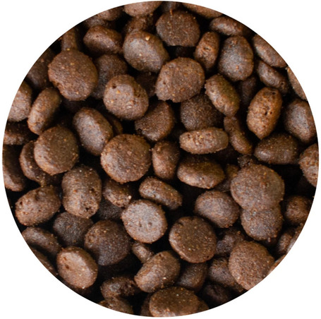 Alleva Equilibrium Lamb All Breeds Puppy