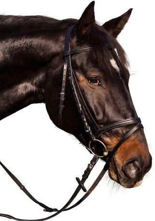 Covalliero Standard kantár