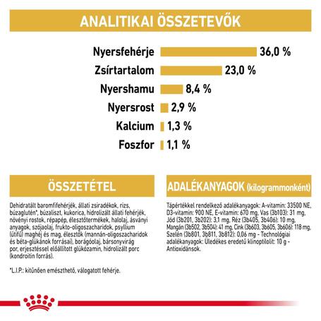 Royal Canin Maine Coon Kitten - Maine Coon kölyök macska száraz táp