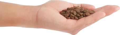 Orijen Original Cat macskaeledel szárnyashúsokból, tojásból és halból