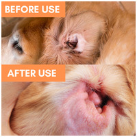 OurDogsLife fültisztító kendő kutyáknak #2