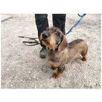 Marcus, 4 éves, kan #3