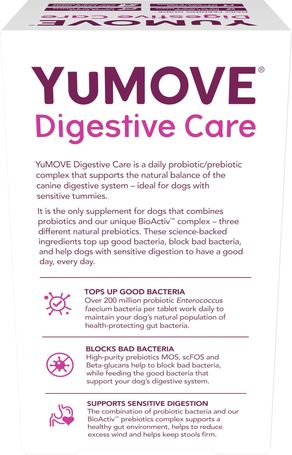 Lintbells YuMOVE Digestive Care Dog l Probiotikum kutyáknak az egészséges emésztésért