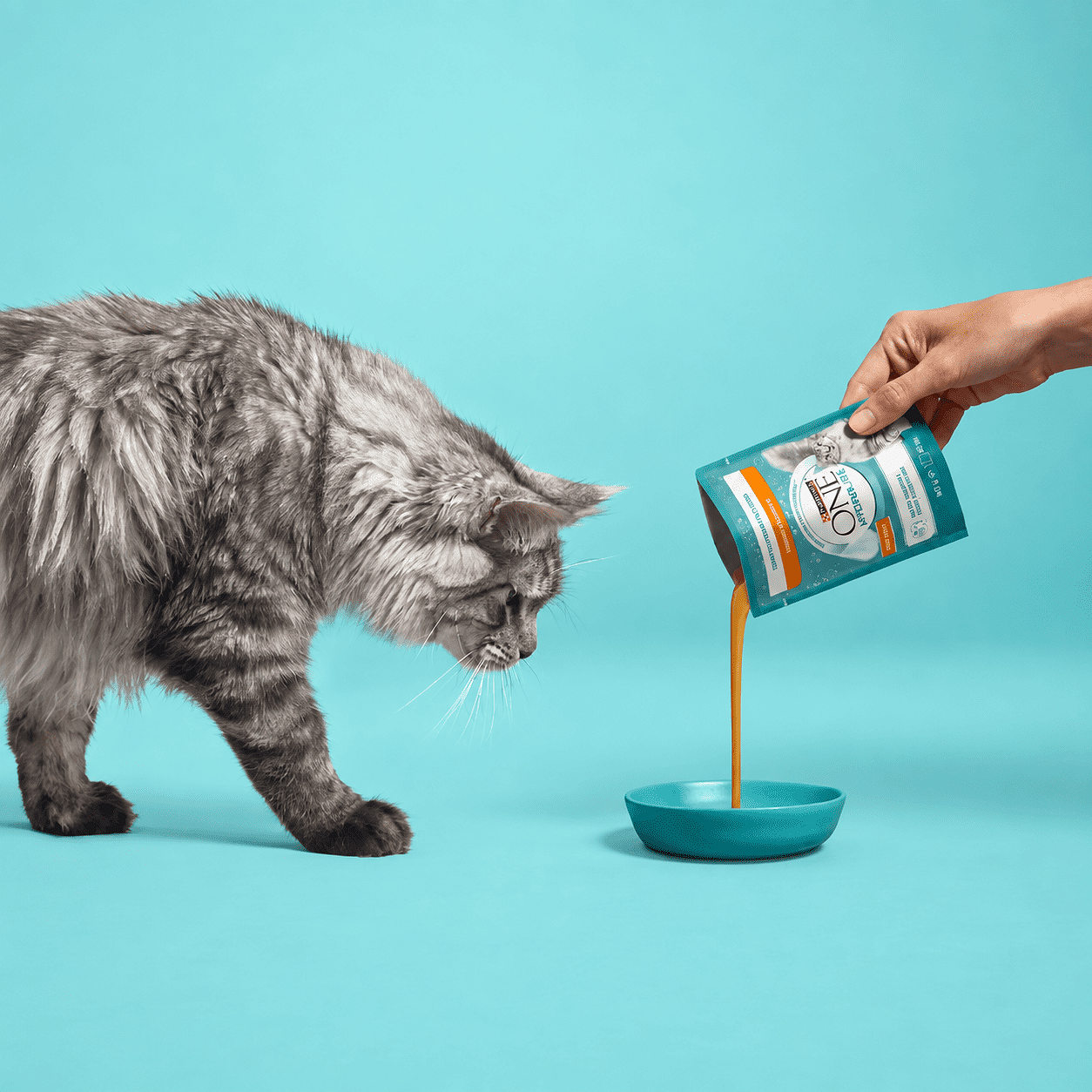 Purina ONE Hydralife Salmon snack lichid pentru pisici - zoom