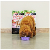 FitActive ToyDogs Lamb & Fish with Apple & Rice kutyatáp mini és kistetű fajtáknak #6