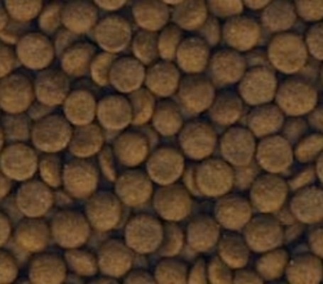 Pro-Vet Struvite - Húgyhólyag köveinek feloldására és kialakulásuk megelőzésére macskáknak