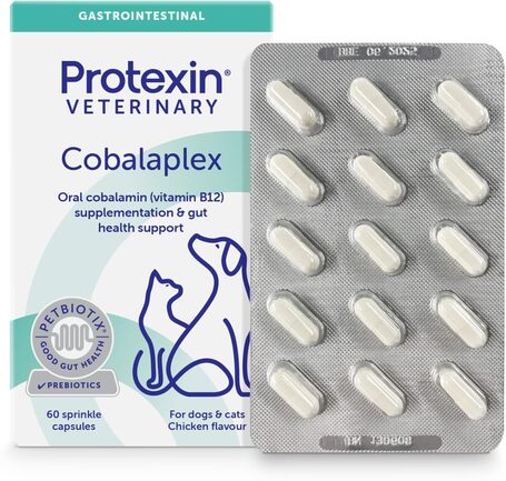Protexin Cobalaplex kobalamin vagy folsav hiány esetén kutyáknak és macskáknak