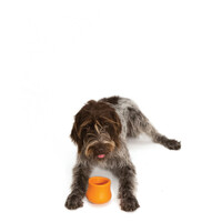 West Paw Toppl - Jutalomfalattal tölthető kutyajáték #11