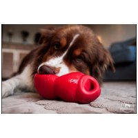 Kong Bounzer kutyajáték #6