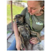 Günter, fél éves, kan #6