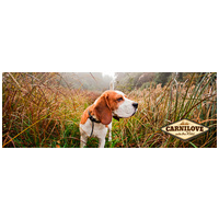 CarniLove Adult Reindeer - Rénszarvashúsos táp felnőtt kutyáknak #2