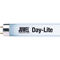 Day-Lite