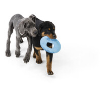 West Paw Seaflex Sailz - Károsanyag-mentes frizbi #5