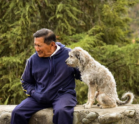 Delikan Original Balance alacsony aktivitású, túlsúlyos felnőtt vagy idős kutyáknak