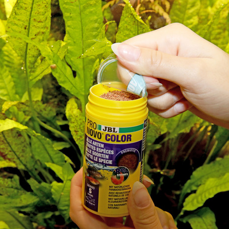 JBL ProNovo Color Grano színfokozó granulátum (Click)