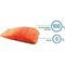 Bravery Dog Adult Mini Grain Free Salmon | Hrană uscată din Spania pentru câini de talie mică