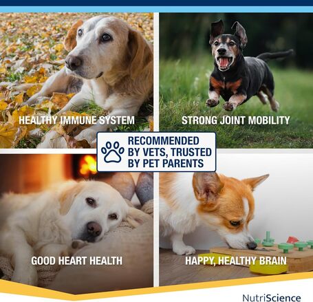 NutriScience Senior Aid Multivitamin oldat