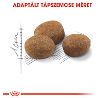 Royal Canin Sterilised 7+ | Ivartalanított idősödő macska száraz táp #2