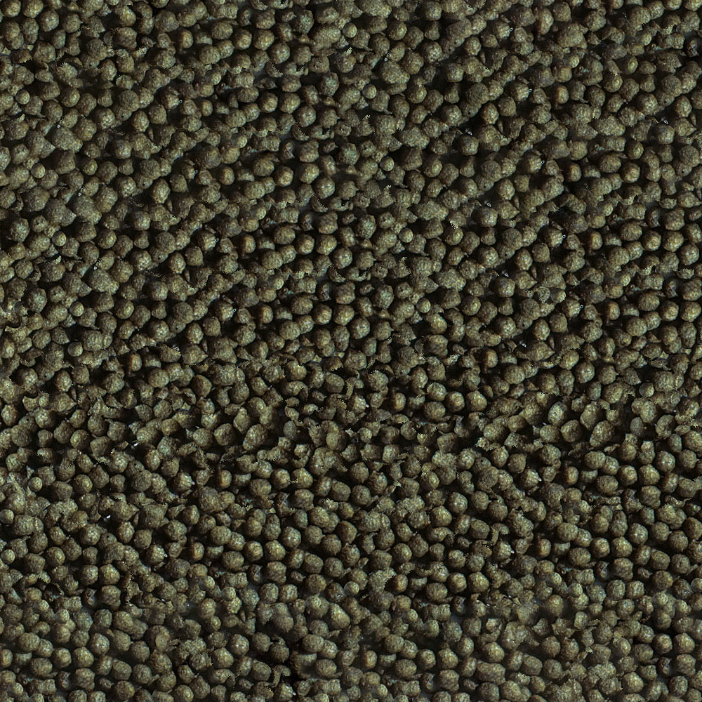 Sera Goldy Color Spirulina - zoom