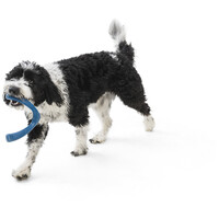 West Paw Seaflex Snorkl - Bumeráng és kötélhúzó játék #7