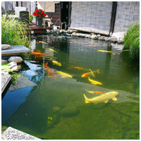 JBL ProPond All Seasons Sticks #5