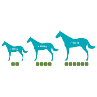 Geloren Horse ízületvédő lovaknak #3