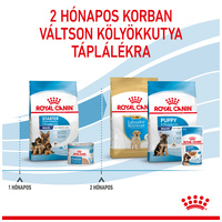 Royal Canin Maxi Starter -  Száraz táp nagy testű vemhes szuka és kölyök kutya részére 2 hónapos korig #6