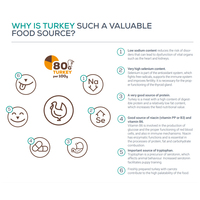 Raw Paleo Ultra Puppy Medium & Large Turkey #3