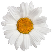 Biogance My Puppy Shampoo - Kölyökkutya sampon #11