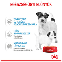 Royal Canin Starter - Kölyök kutya pépes nedves táp #2