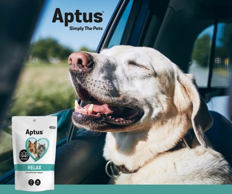 Aptus Relax gyorsan ható nyugtató rágótabletta