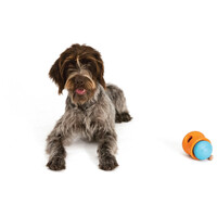 West Paw Toppl - Jutalomfalattal tölthető kutyajáték #16