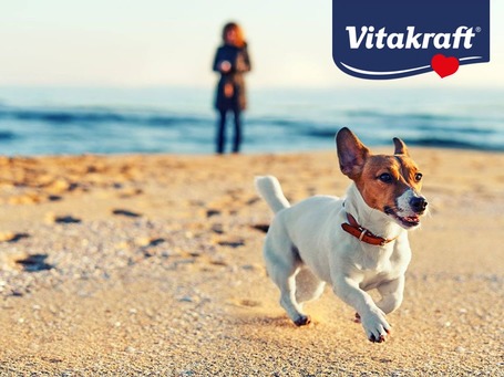 Vitakraft Dog Minis hipoallergén szaftos marhás kolbászocskák kutyáknak