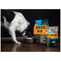 Julius-K9 GF Hypoallergenic Adult Wild Boar & Berry #9
